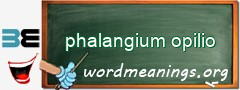 WordMeaning blackboard for phalangium opilio